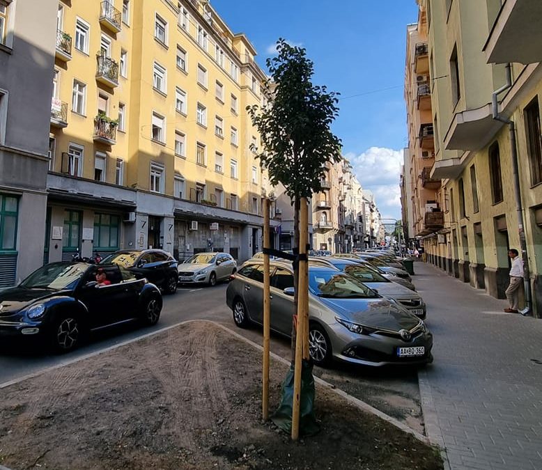 Döbbenetes utcakép: alig három fával újult meg egy teljes utcaszakasz a XIII. ke