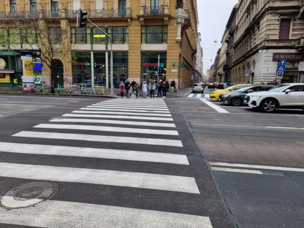 Zebra átadása