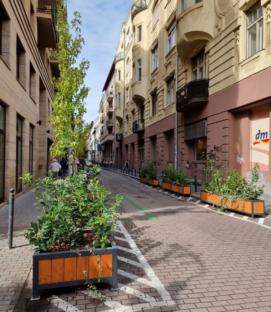 Székely Mihály utca parklet