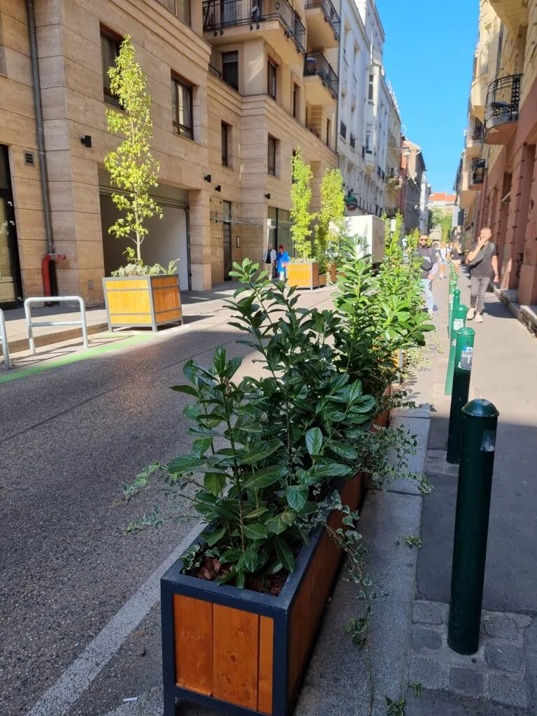 Székely Mihály utca parklet